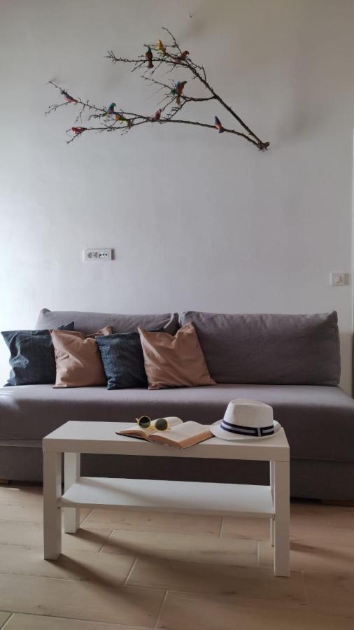 Apartman Marinac Roč Buitenkant foto